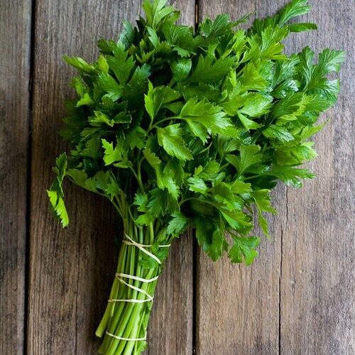 3f26ef867ab8dbee7695cdb241bfc0d9 Wholesome Revolt Freash Coriander Leaves 250g