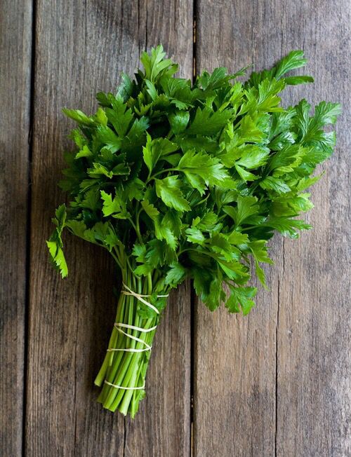 Wholesome Revolt  Freash Coriander Leaves 250g