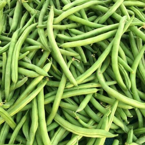 518d4531d1abb9411eae70e10e8235fa Wholesome Revolt Fresh Green beans 1 kg