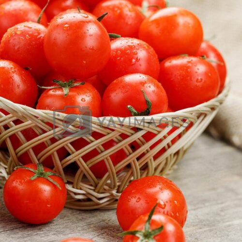 80b8074faf41426080e7fb8f11abeb73 Wholesome Revolt Desi Tomato 1kg