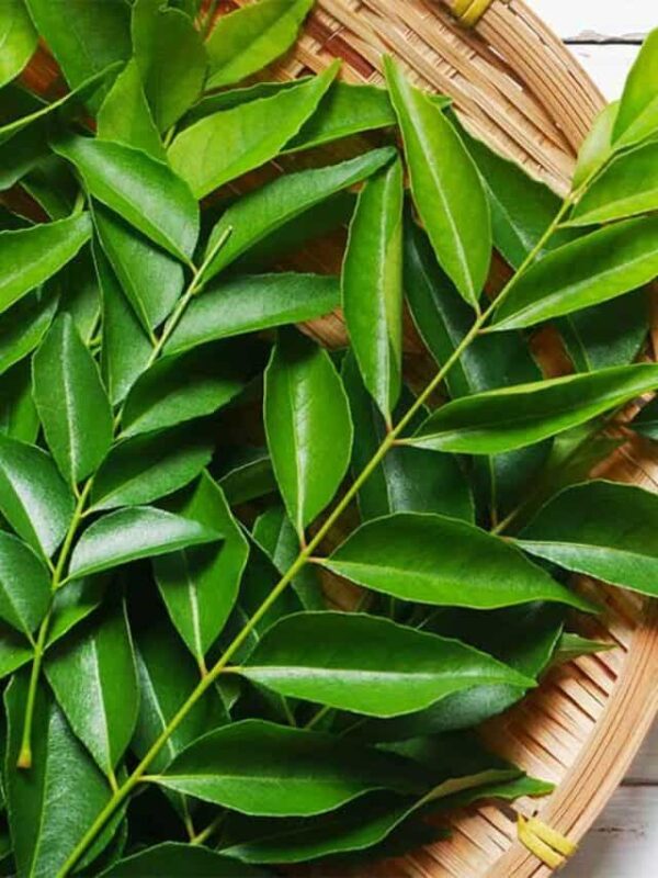 8e6e14d007ce0018befc75764f2ecdcc Wholesome Revolt Fresh Curry leaves 250