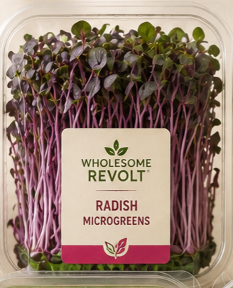 Wholesome Revolt Radish Microgreens (100g 1 pack )